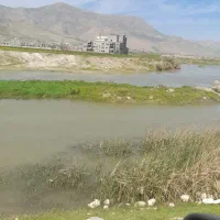 زمین-کشاورزی