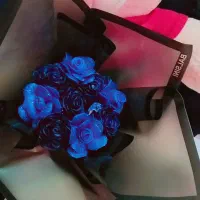 رز‌جاودان|گل مصنوعی|زاهدان, |دیوار
