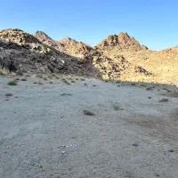 زمین|فروش دفتر صنعتی، کشاورزی، تجاری|زاهدان, |دیوار