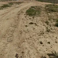 فروش-زمین-بلوار-اتحاد