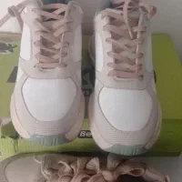 کتانی|کیف، کفش، کمربند|اردبیل, |دیوار