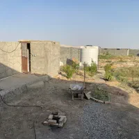 زمین کشاورزی و پرورش دام با موقعیت بینظیر ورامین|فروش زمین و ملک کلنگی|جوادآباد, |دیوار