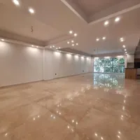 ۱۱۹متر دوخواب مهندسی ساز تک واحدی دهکده المپیک|فروش آپارتمان|تهران, زیبادشت|دیوار