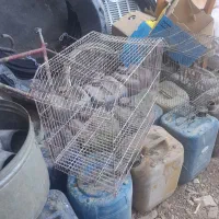 قفس پرنده سالم سالم