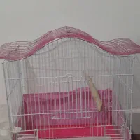 قفس پرنده صورتی