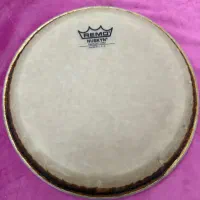 فروش پوست رمو سایز ۱۰