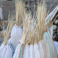 پیش سفید یا پیش دل درجه یک و بلند|صنایع دستی و سایر لوازم تزئینی|میناب, |دیوار