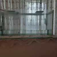 آکواریوم
