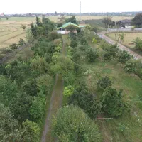 باغ۱۴۰۰ متر سندتک برگ گیلان تالش بر جاده اصلی دریا