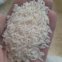 طارم|خوردنی و آشامیدنی|سبزوار, همت|دیوار
