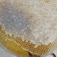 محصولات سنتی