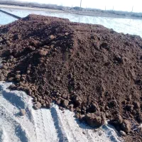 فروش خاک باغچه کود حیوانی خاک برگ....|خدمات باغبانی و درختکاری|چاف و چمخاله, |دیوار