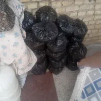 زغال کبابی قلیون بل