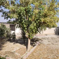 باغ ویلا فوق‌العاده زیر قیمت 400 متر شهریار|فروش خانه و ویلا|شهریار, کرد امیر|دیوار