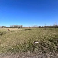 زمین-مسکونی-و-شالی