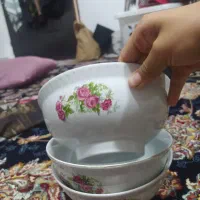 کاسه ودیس