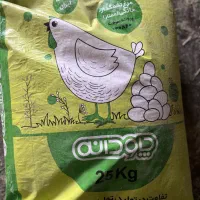 دان مرغ/عروس/کبوتر وبلدرچین و بوقلمون و گندم وارزن