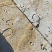 عایق کاری تخصصی انواع نما و سطوح تضمینی