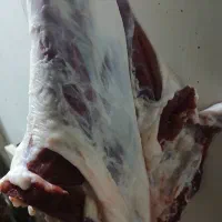 گوشت بزغاله ترجک