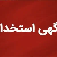 استخدام نیروی کار