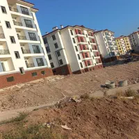 کار در ترکیه