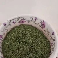شوید خشک