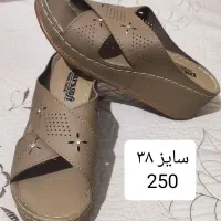 کفش زنانه|کیف، کفش، کمربند|اهواز, شهرک دانشگاه|دیوار