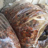 فروش انواع میوه|خوردنی و آشامیدنی|شیراز, اصلاح‌نژاد|دیوار