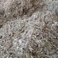 کاه لوبیا قرمز