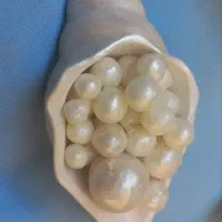 ست شمع مرواریدی|صنایع دستی و سایر لوازم تزئینی|شوشتر, |دیوار