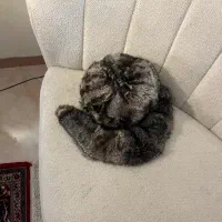 کلاه روسی نو