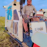 کمباین زنجیری یا برنج آماده برداشت گندم و جو و کلز