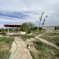 فروش باغ کهک|فروش خانه و ویلا|قم, دوبرادر|دیوار