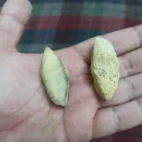 سنگ اصل