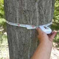 خرید چوب خریدار چوب کیلویی ۷۰۰۰|خدمات باغبانی و درختکاری|ساوه, |دیوار