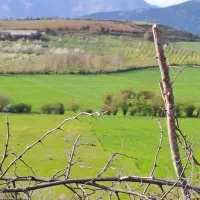 زمین-مسکونی-داخل-شهر