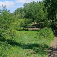 زمین برای ساخت ویلا دم جاده جبدره تبنق