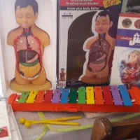 کلاس های جبرانی ابتدایی هادی انصاری|خدمات آموزشی|سبزوار, پامنار|دیوار