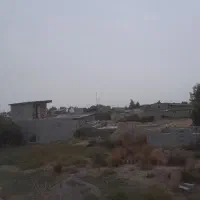 فروش زمین مخصوص دامداری|فروش زمین و ملک کلنگی|سیجوال, |دیوار