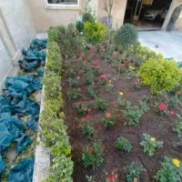 خدمات باغبانی هرسکاری گل کاری تعویض خاک گلدون