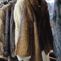 کاپشن بوفالو اصلی اصل تربت حیدریه