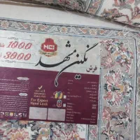 فرش نو،فرش 1000 شانه نگین مشهد|فرش|دماوند, گیلاوند|دیوار