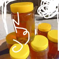 عسل  گون  خیلی خوب