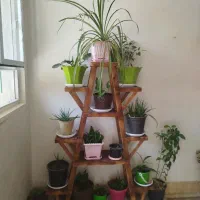 استند