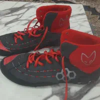 لباس کشتی|لباس|بهارستان, |دیوار