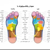 روغن ماساژفرم دهی اورگانیک اصل|آرایشی، بهداشتی، درمانی|تهران, اقدسیه|دیوار