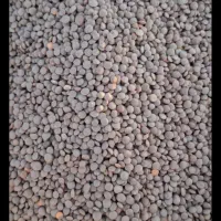 قیمت عمده|عمده‌فروشی|هرسین, |دیوار