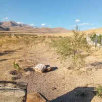 باغ