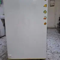 فریزر مینی