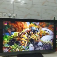 تلوزیون  سونی ۴۰  براویا|تلویزیون و پروژکتور|مشهد, ایثار|دیوار